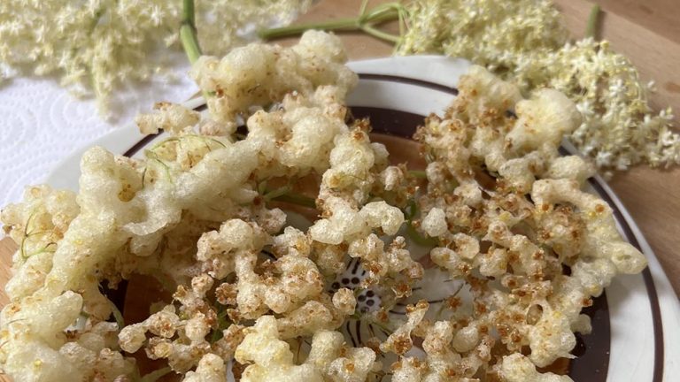 Scopri di più sull'articolo Frittele di fiori di sambuco: un’esperienza culinaria da gustare con il cuore