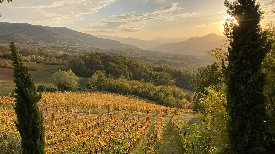 Scopri di più sull'articolo Azienda Agricola Trebbiola – Bassano