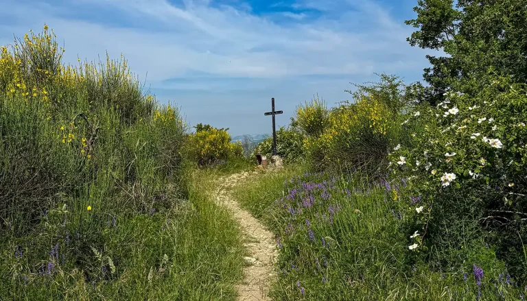 Scopri di più sull'articolo Escursione sul Monte Denavolo tra ginestre e ligustro