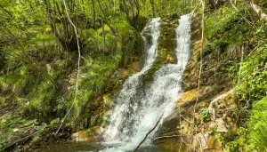 Cascata del Rio Canareta nell'escursione Alpe Varni